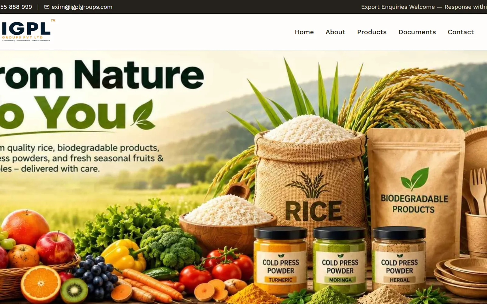 IGPL Group — Export Business Website by Dev Team Agency